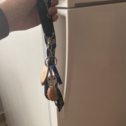 Encontré Estas Llaves