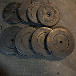 300lbs Standard Weight 