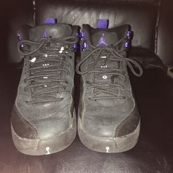 Jordan 12 Dark Purple