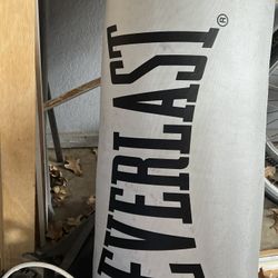Everlast Punching Bag 