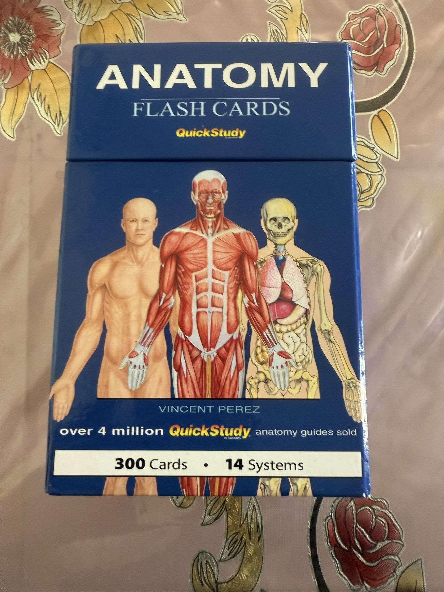 Anatomy Flash Cards