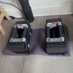 Power Block Dumbbell Pair