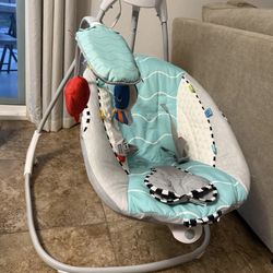 Baby Einstein Swing