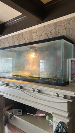 50 gallon tank