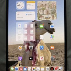 iPad Pro 13 Inch M4 