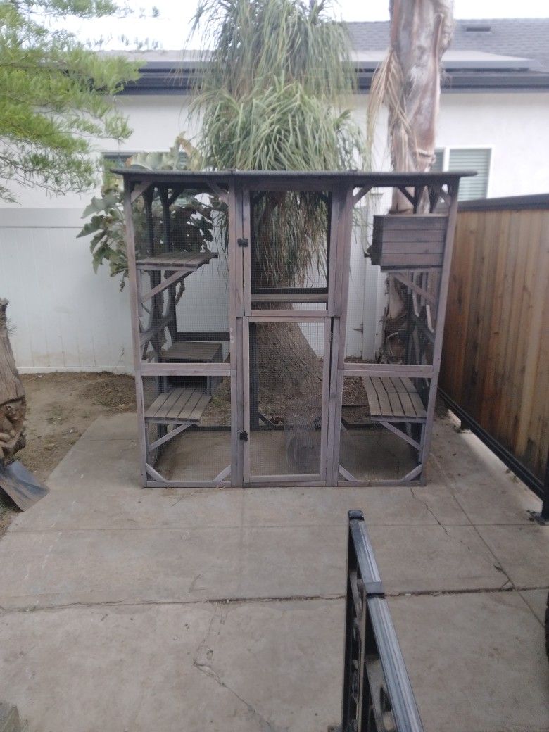Cat Or Chicken Coop