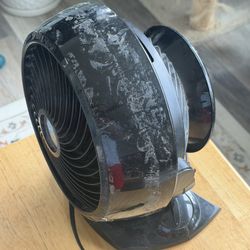Vornado Fan
