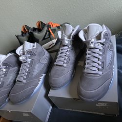 Wolf gray 5  DS