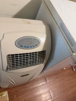 Window air conditioner and portable