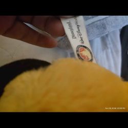 Pluto Dog From Disney Land 