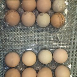 A dozen Eggs