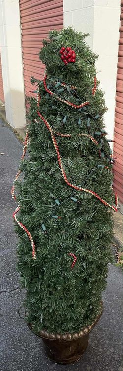 4 Feet Tall Tree-$30 Firm,No Holds & No Spam