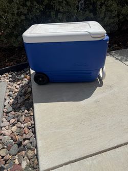 Cooler