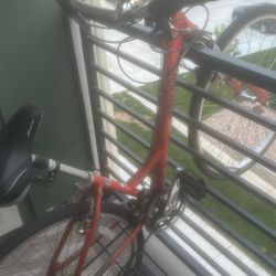 Raleigh Passenger 3.0 Bike