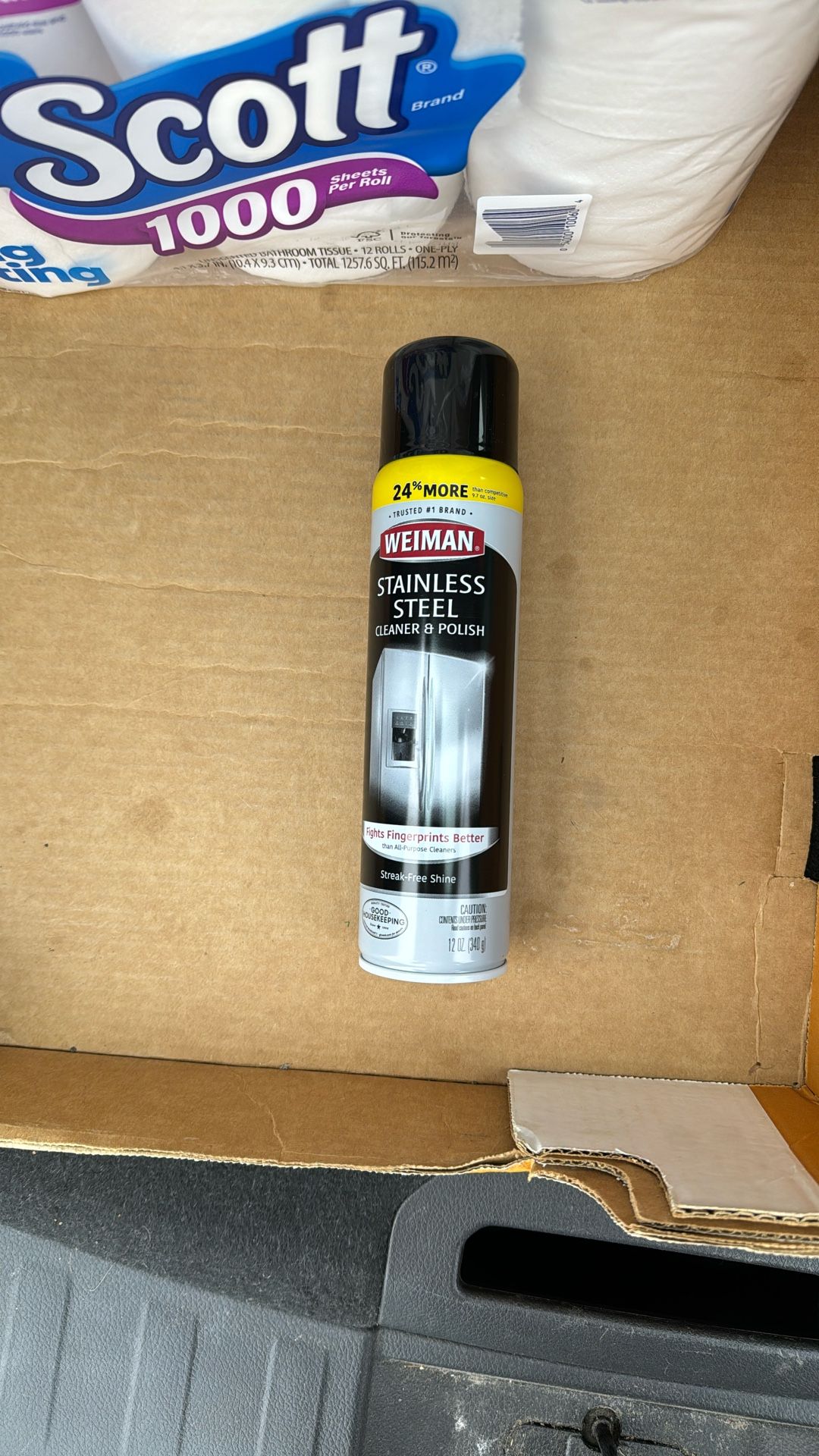 Woman Stainless Steel Cleaner