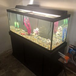 Petsmart marineland 2025 75 gallon