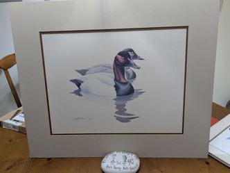 Matted Duck Print Signed 1980 Wildlife Art