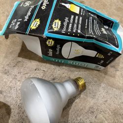 Par38 Halogen,flourescent 4 Pin ,400 Wats Metal Halide  