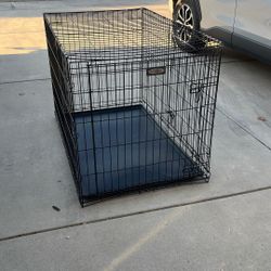Large Dog Kennel