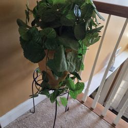 Plant Vase and Stand