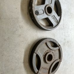 Olympic Weights 25lb