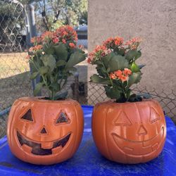 Handmade Pumpkin Concrete Planter