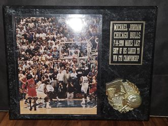 Michael JORDAN The Last Shot Picture Frame (15×12) ($60 Obo)