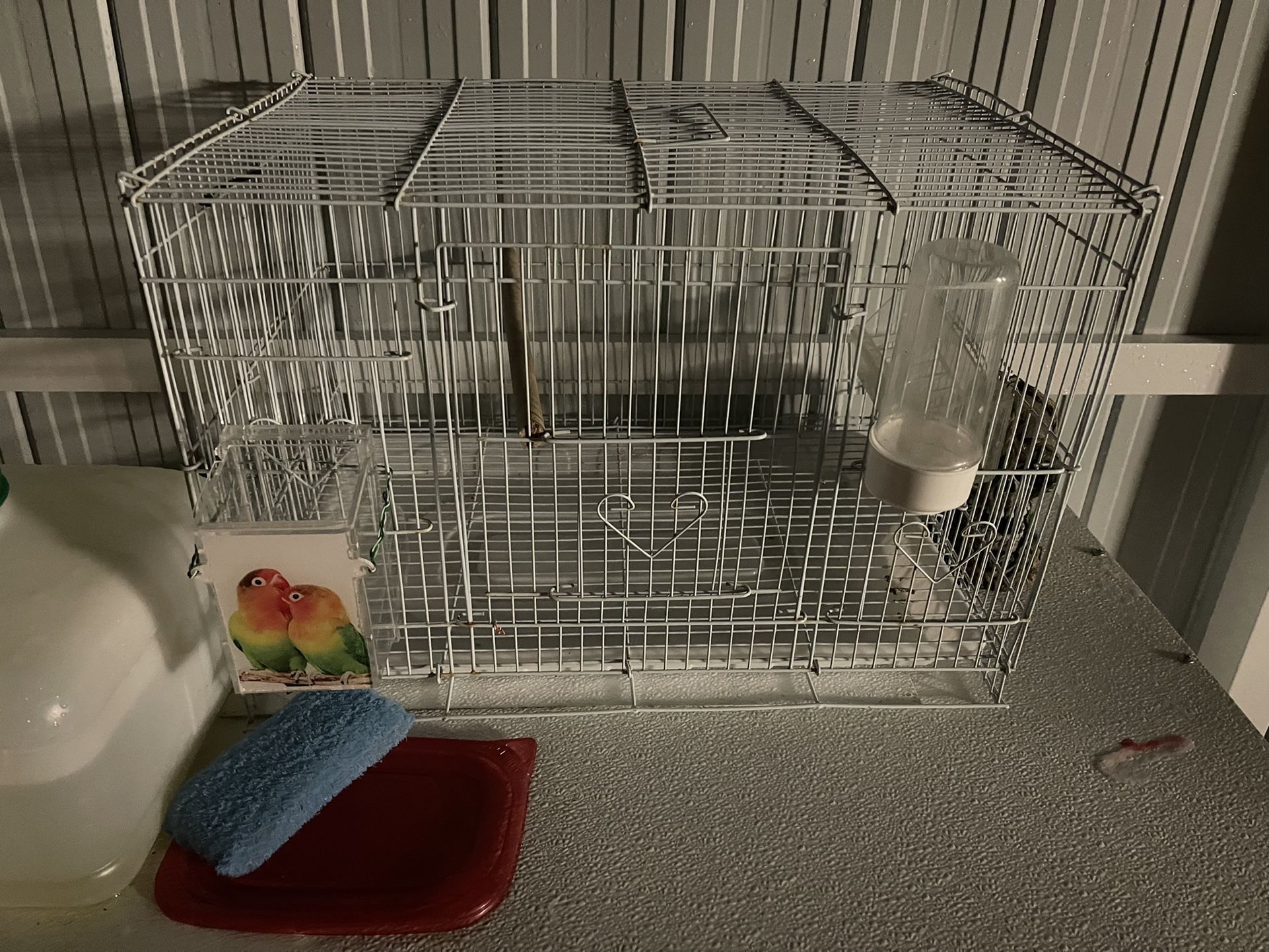 Jaula / Bird Cage  