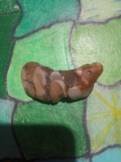 Botryoidal agate