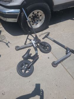 Free Bike and Scooters