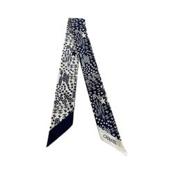 Fashion Scarf Women’s Purse Or Hair Scarf