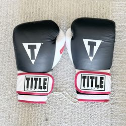 TITLE Gel World 16 oz Bag Gloves (Large)