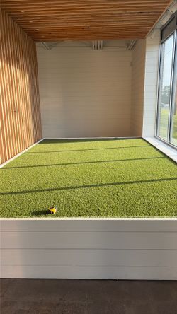 Turf