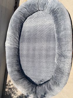 Human size “dog bed”