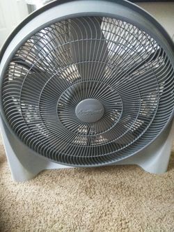 Fan 20"