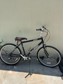 Adult Bike