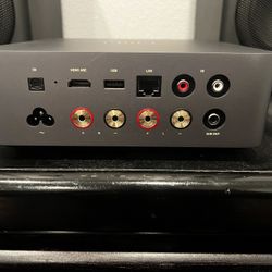 Wiim Amp Ultra 
