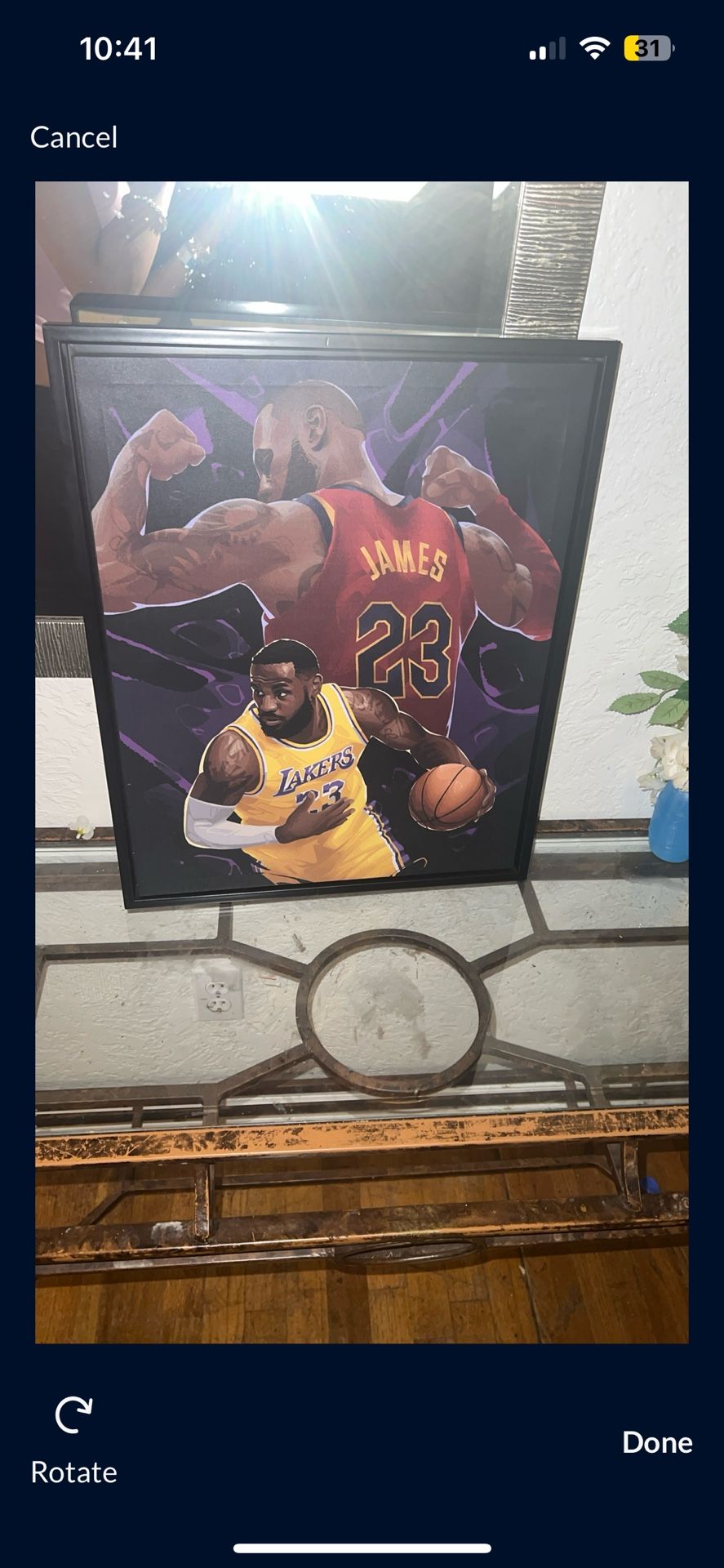 LeBron James Canvas