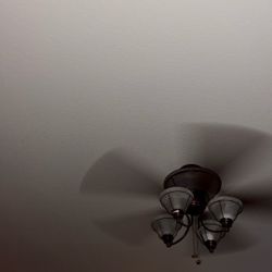 Looking To Make Some Money 