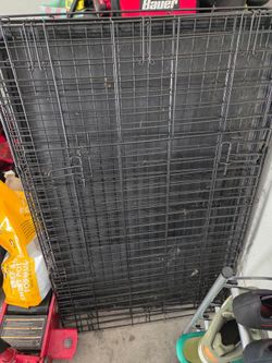 Dog Cage