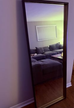 Standing Mirror (Crate and Barrel)