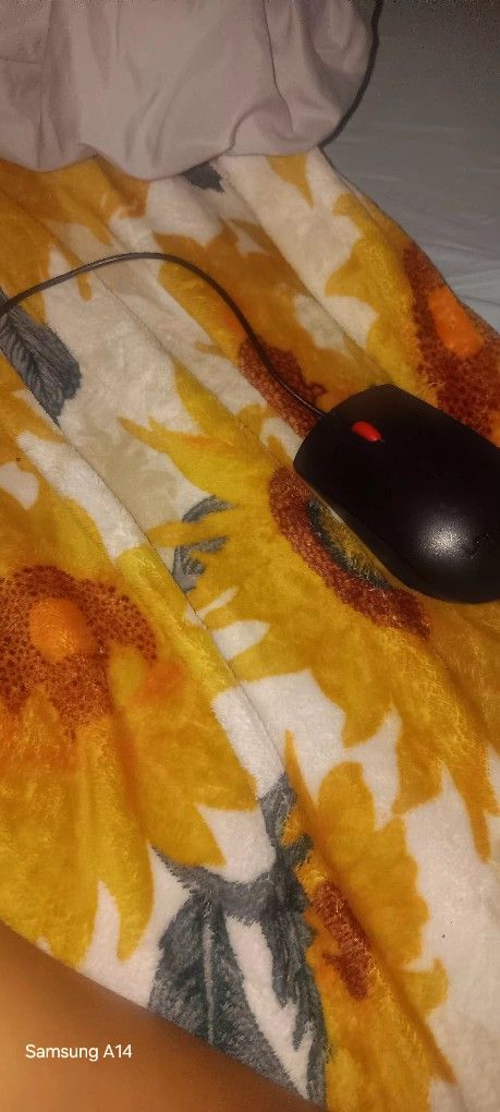 Mouse With Long Cable 