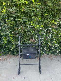 Walking assistance items.