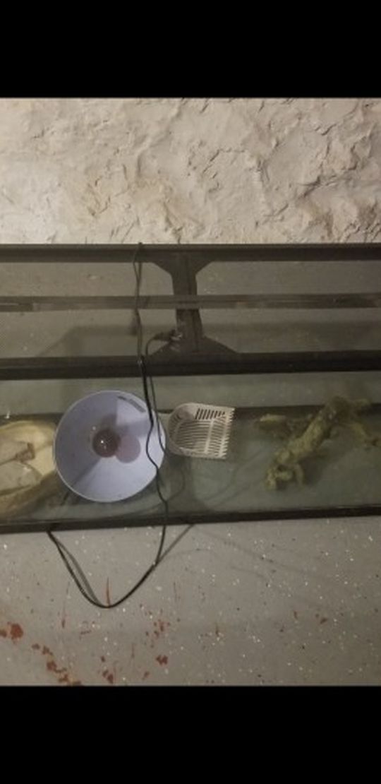 Large Reptile Tank With Some Supplies