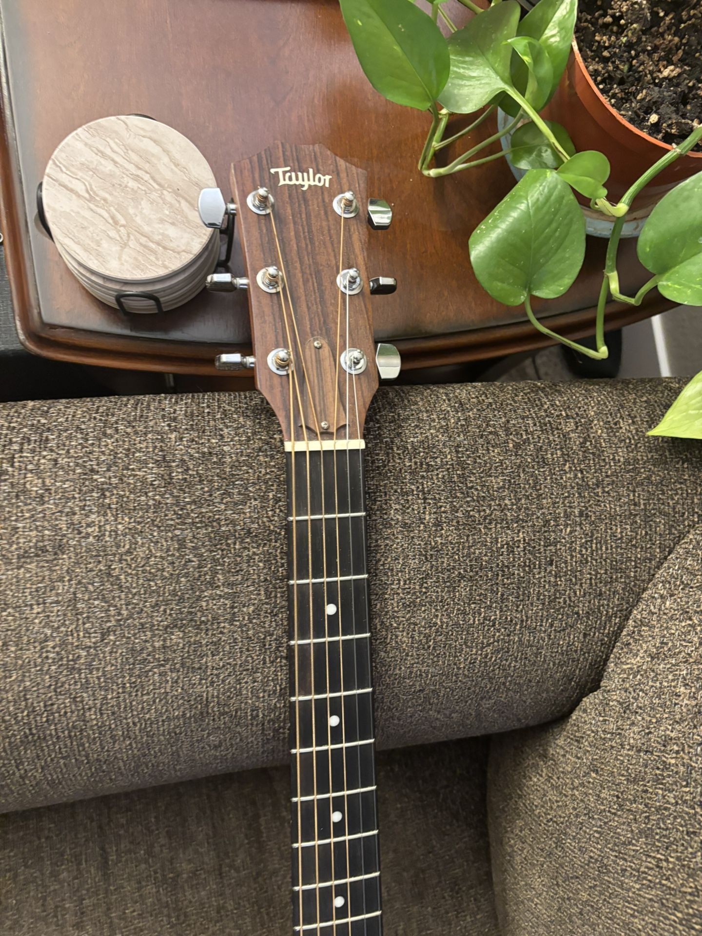 Taylor 214 Ce - G Acoustic /electric