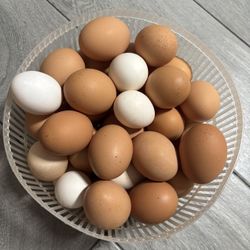 Eggs