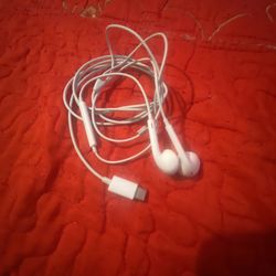 Earphones