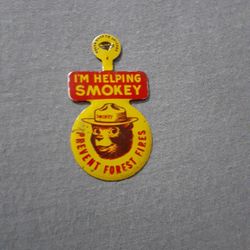 Vintage Smokey The Bear Pin