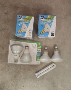 Light bulbs