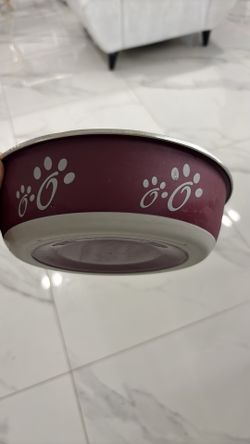 Food bowl for dog.